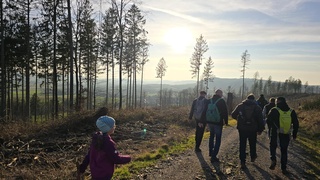 Grünkohlwanderung mit Teilnehmerrekord